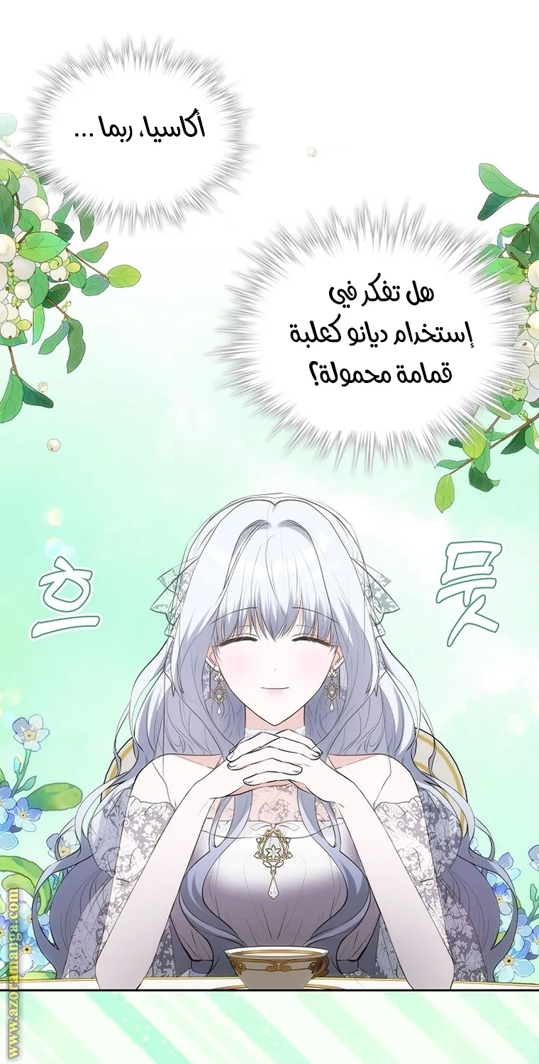 الصفحة 29