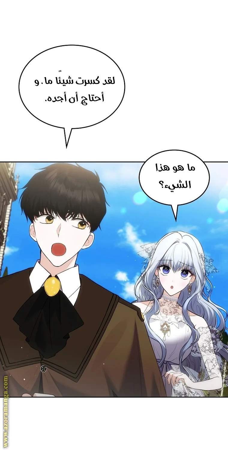 الصفحة 45