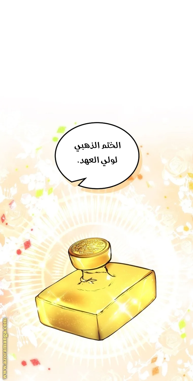 الصفحة 46