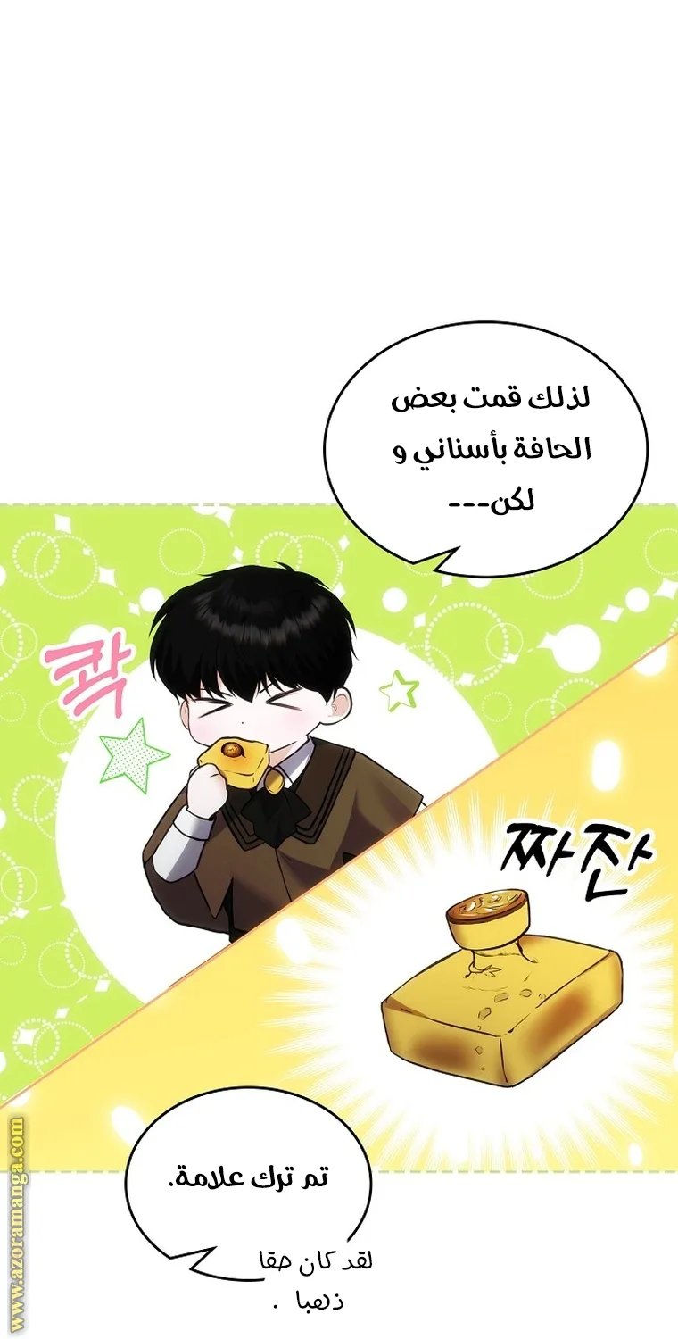الصفحة 49