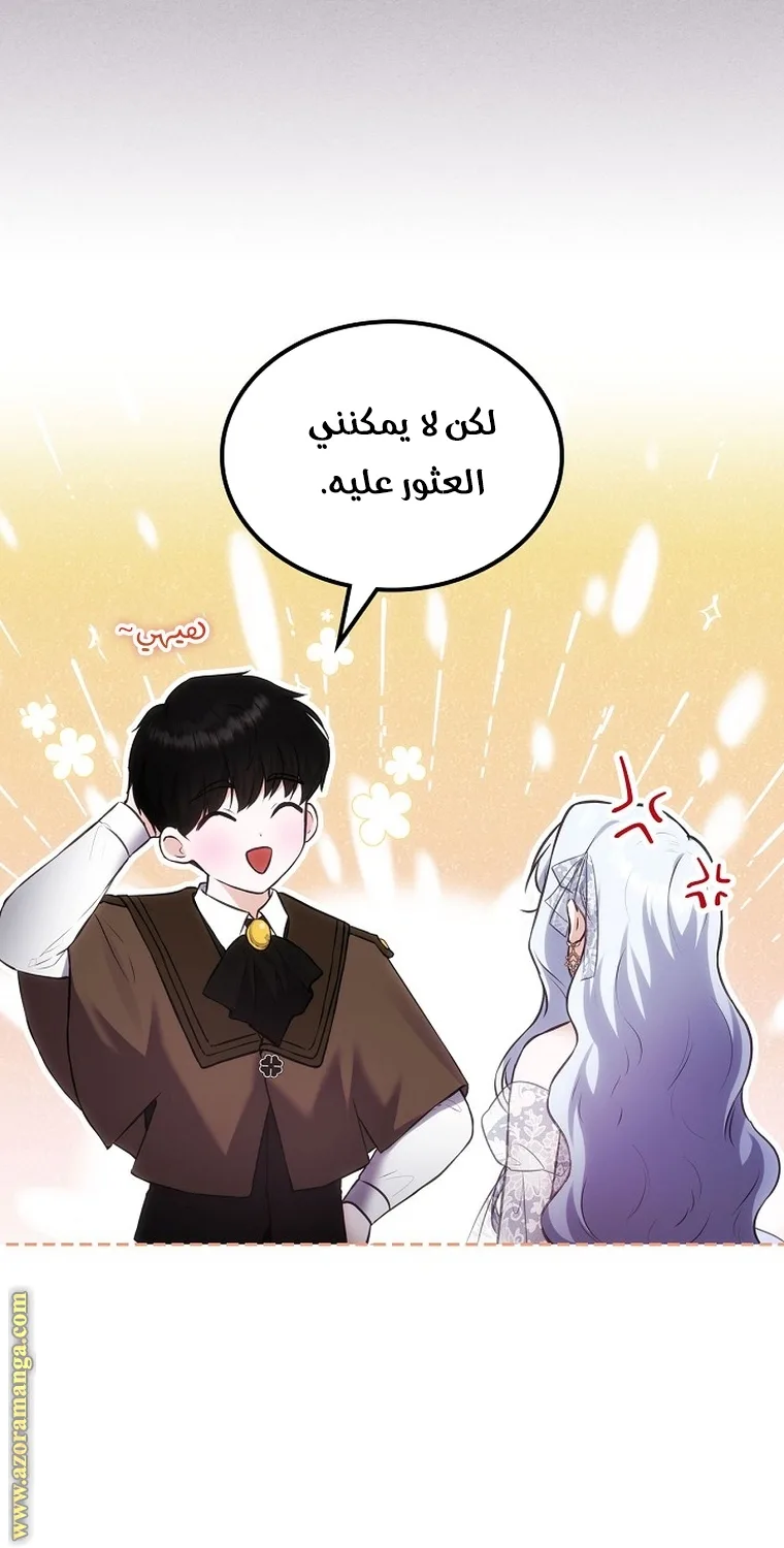 الصفحة 52