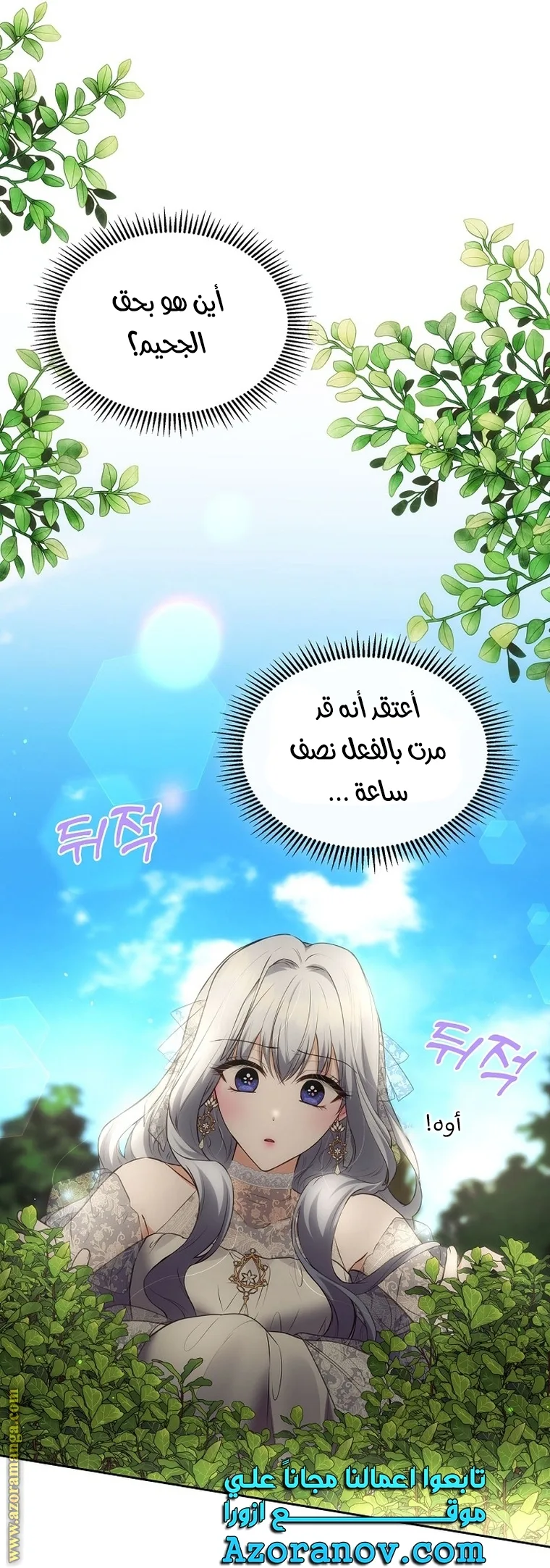الصفحة 55