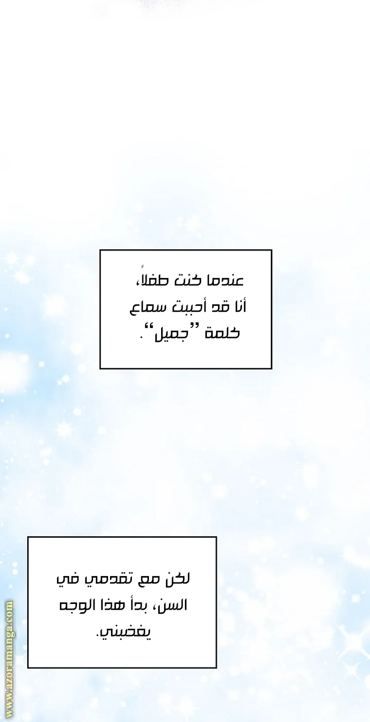 الصفحة 33
