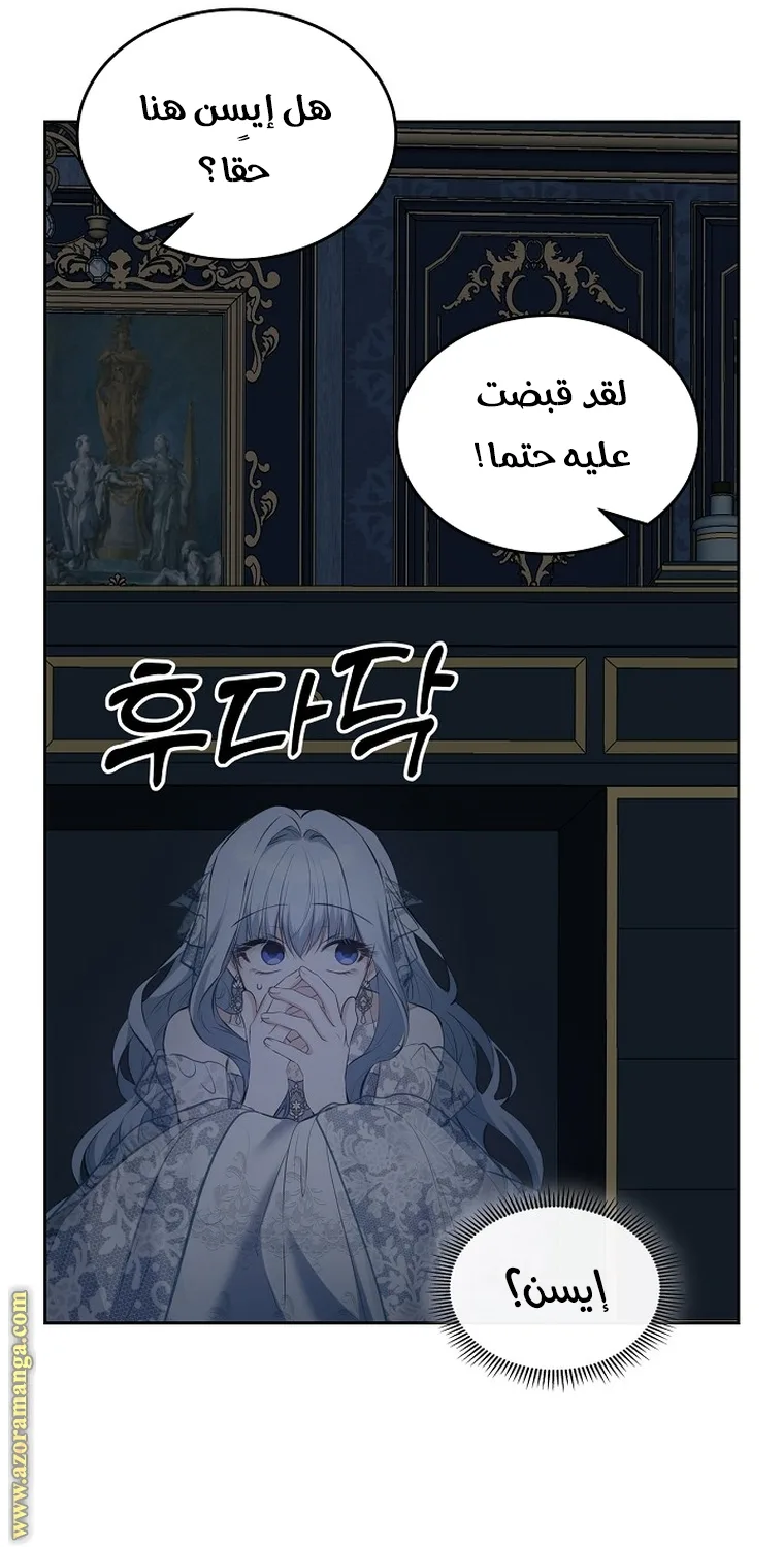 الصفحة 43