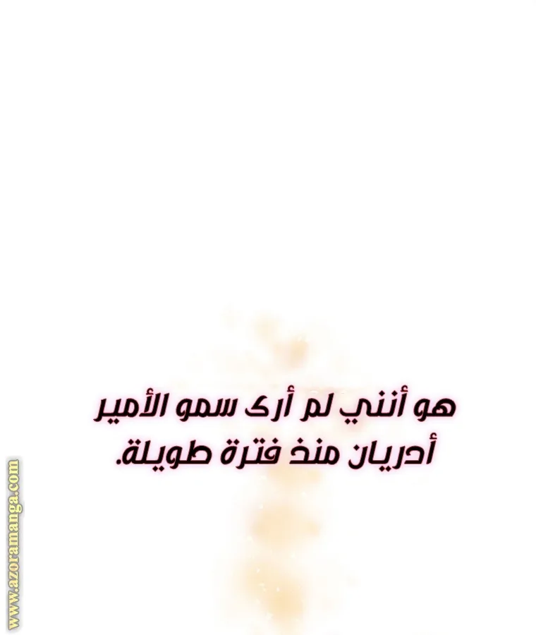 الصفحة 67