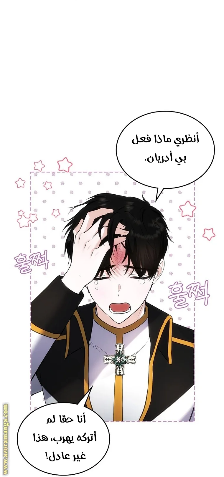الصفحة 25