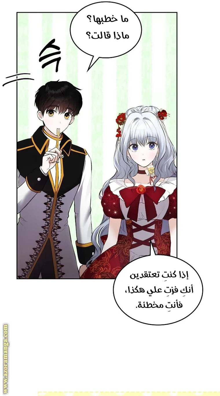 الصفحة 25