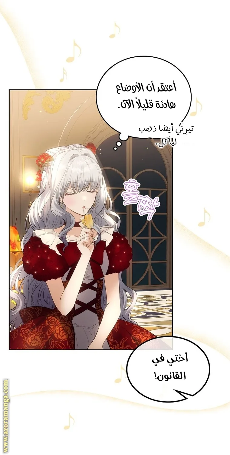 الصفحة 27