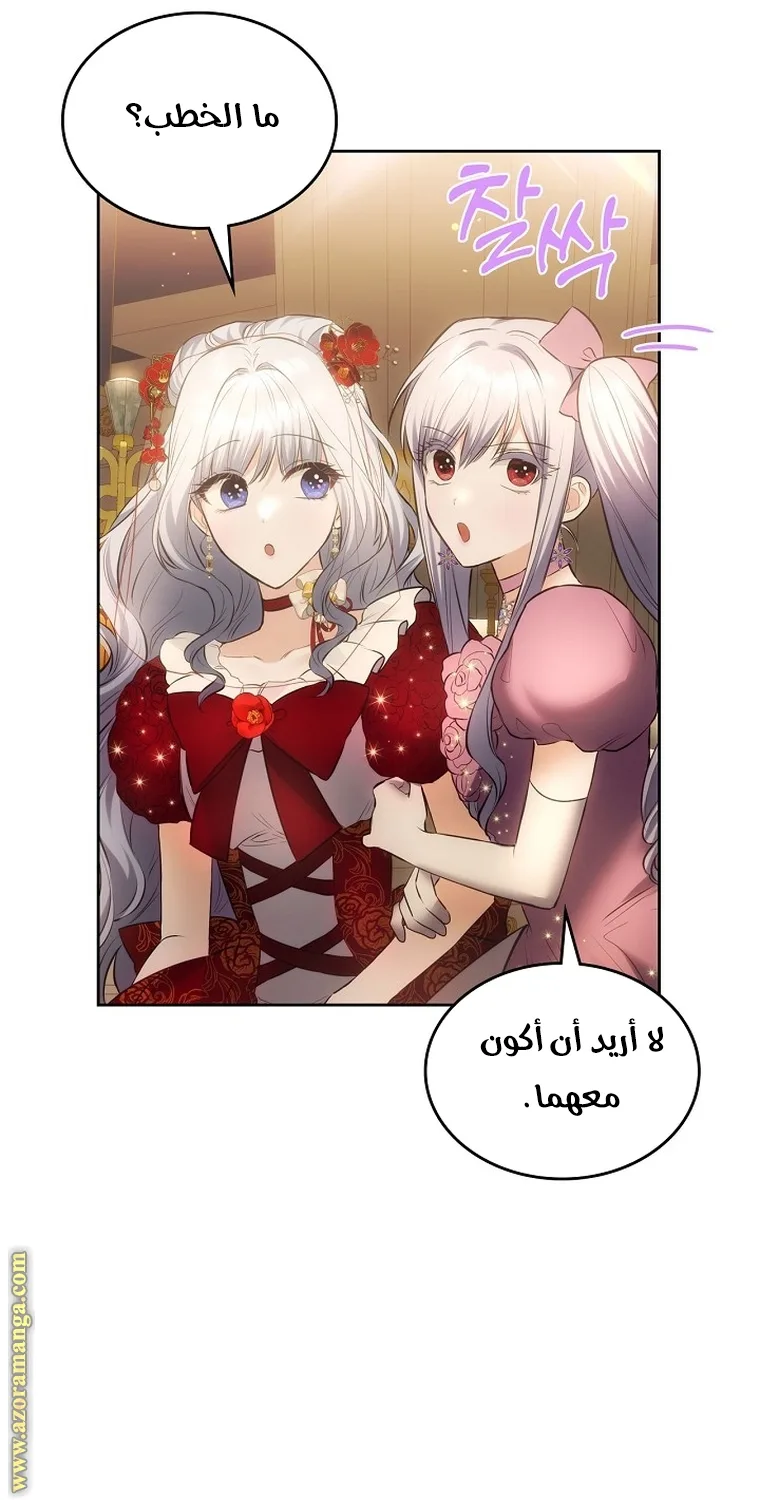 الصفحة 29