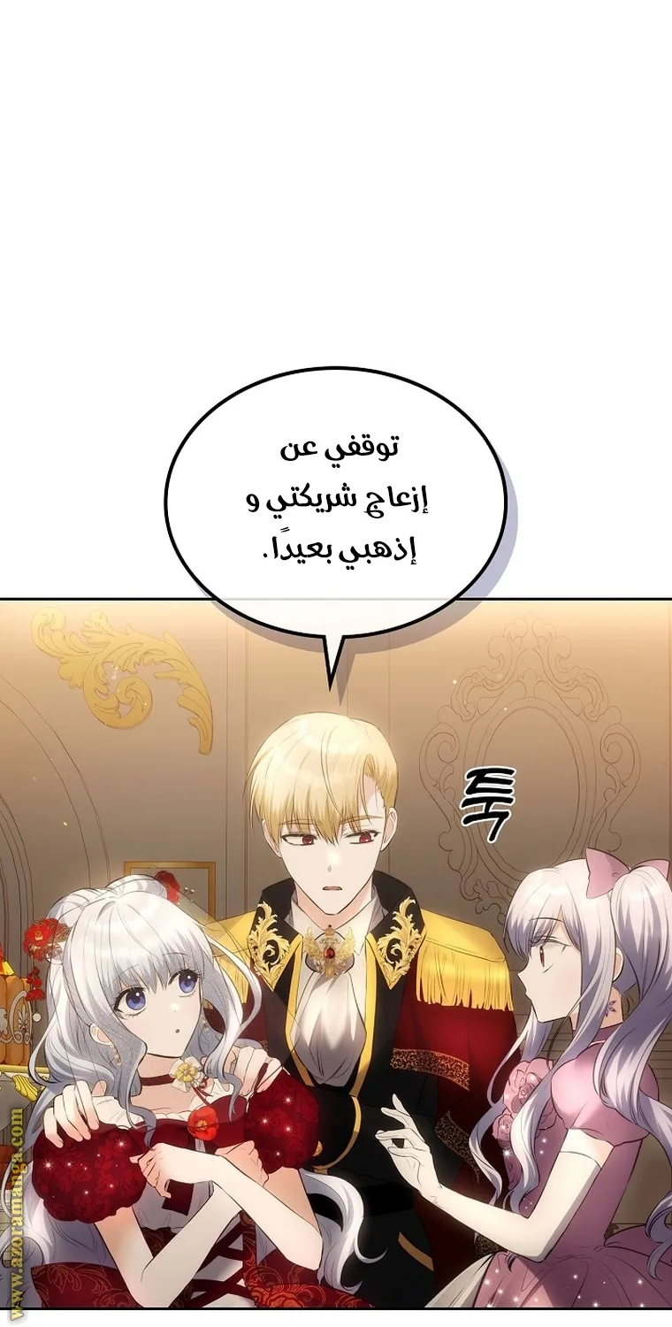 الصفحة 33