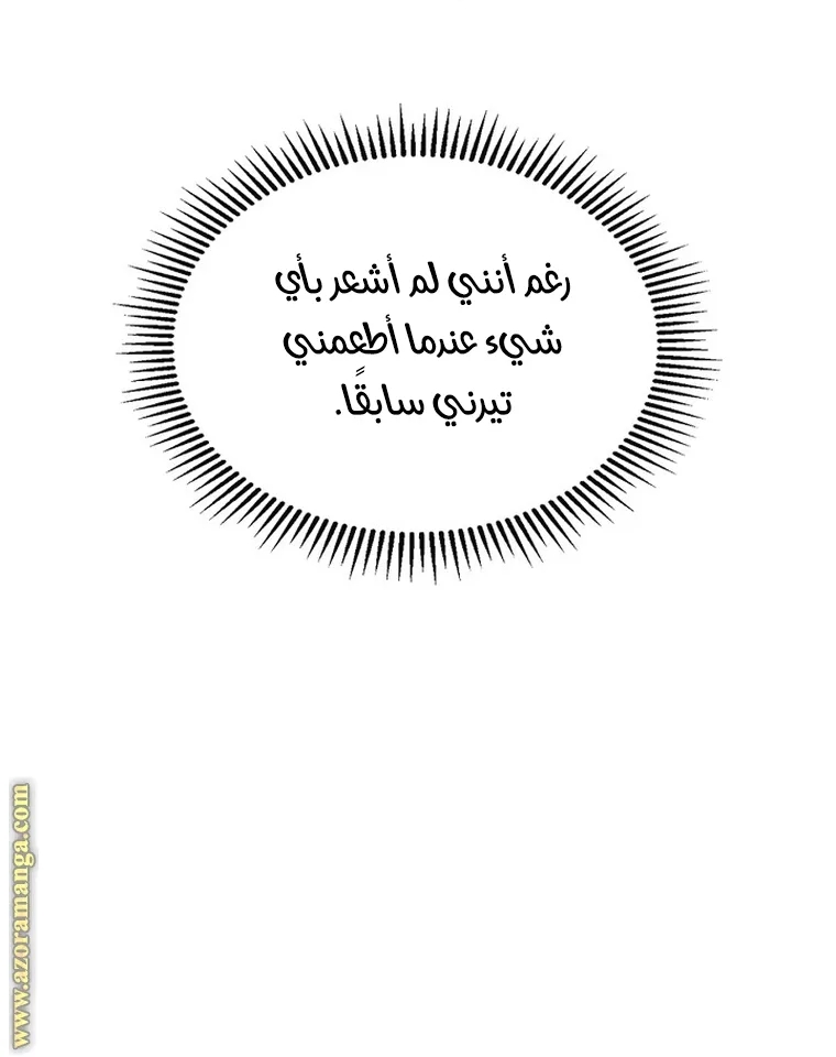 الصفحة 43