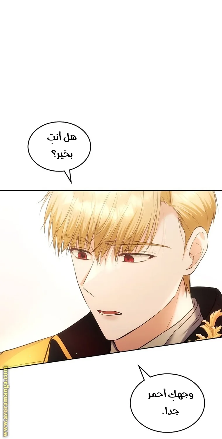 الصفحة 64