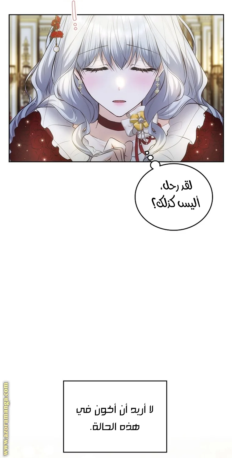 الصفحة 19