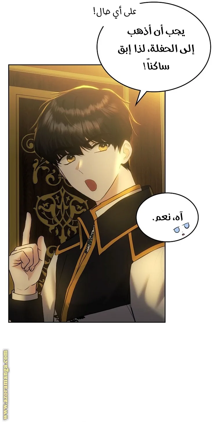 الصفحة 26
