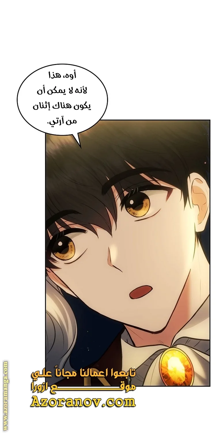 الصفحة 17