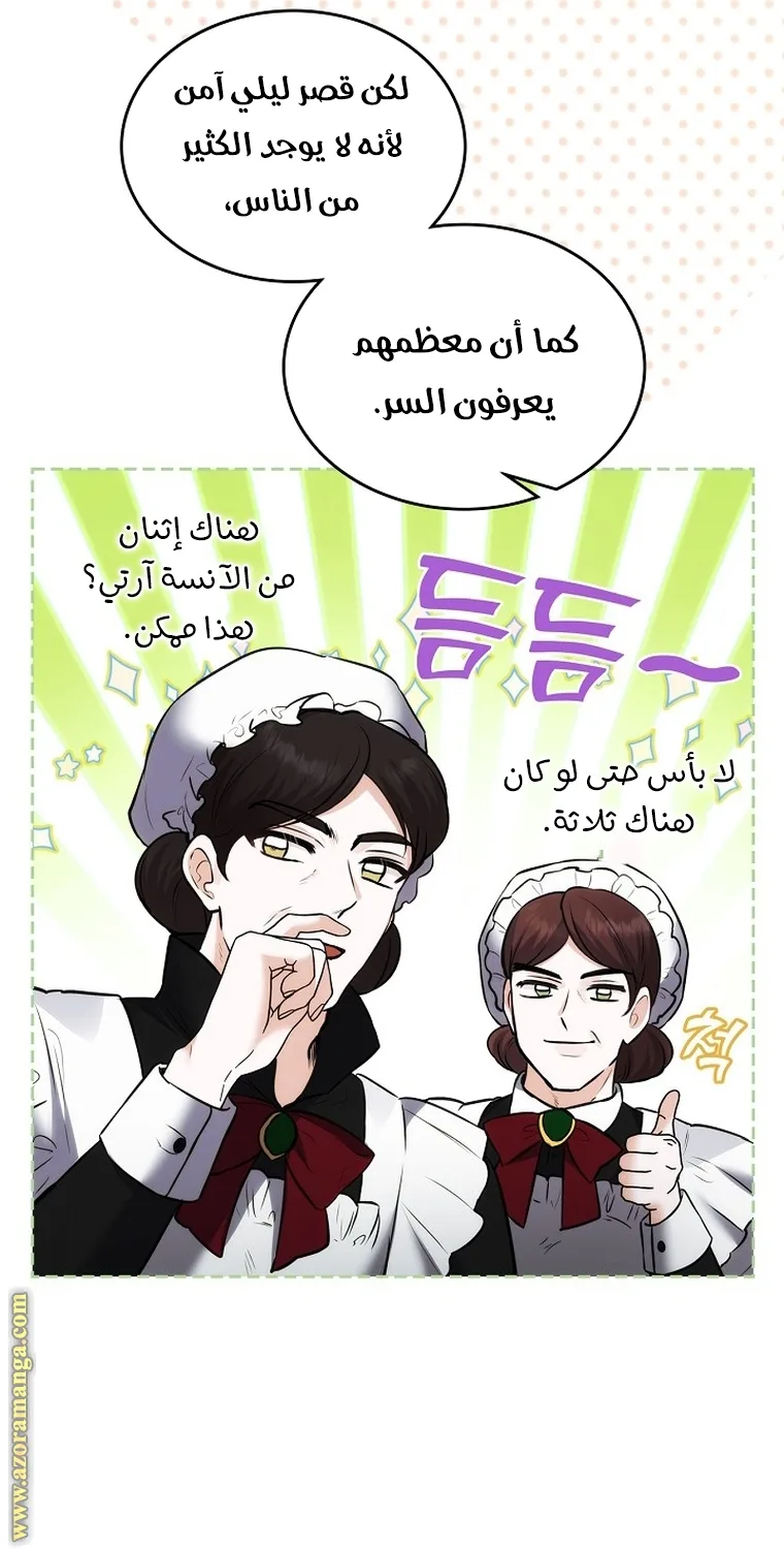 الصفحة 19