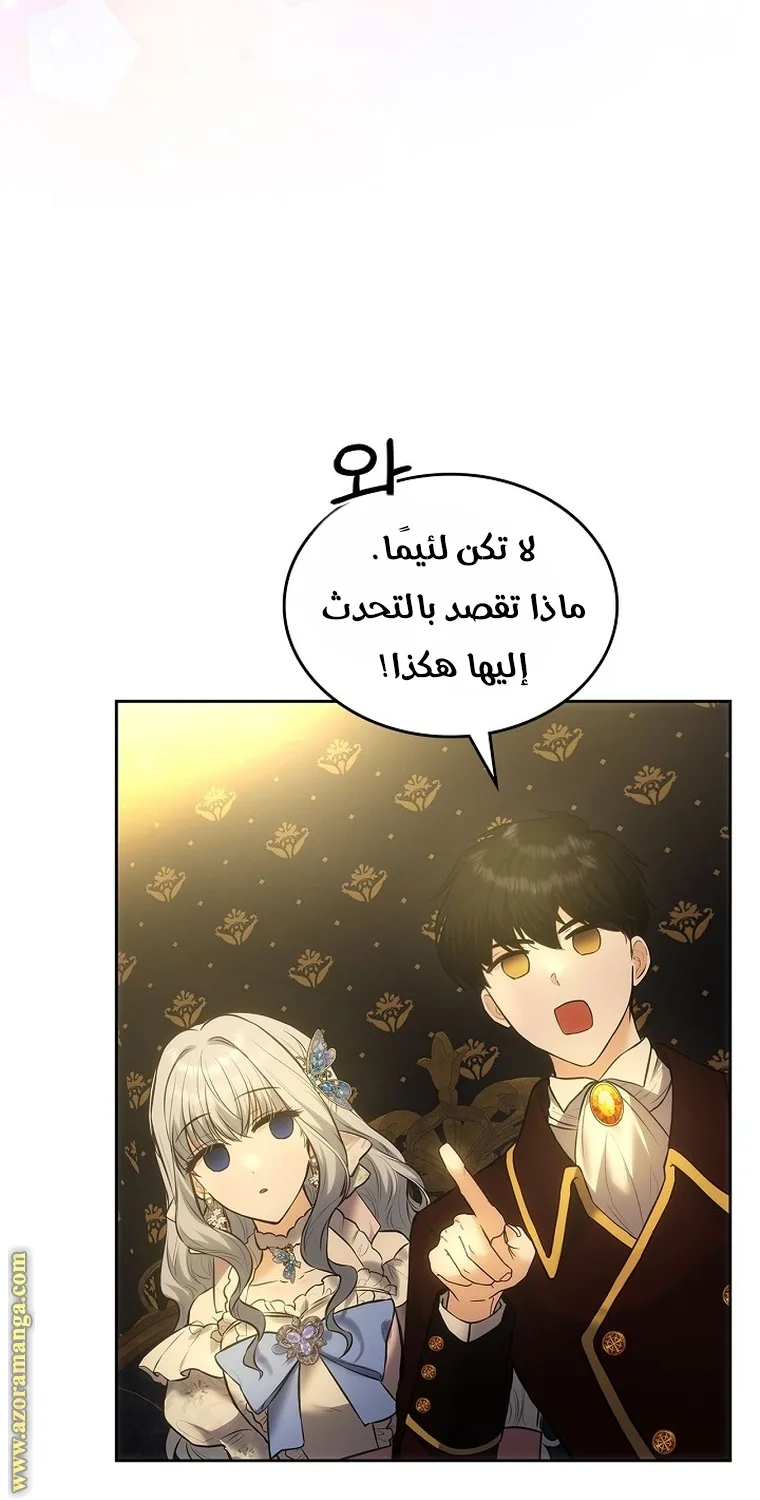 الصفحة 29