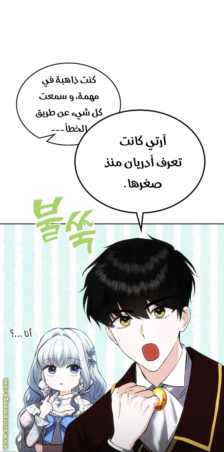 الصفحة 41