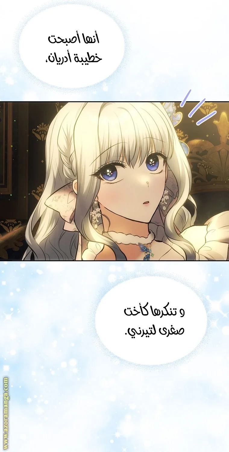 الصفحة 46