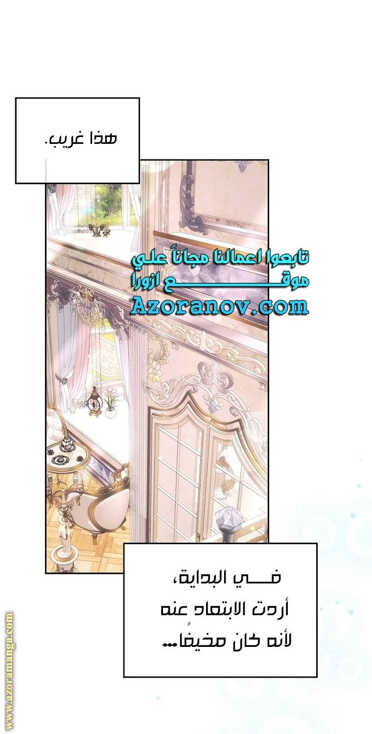 الصفحة 29