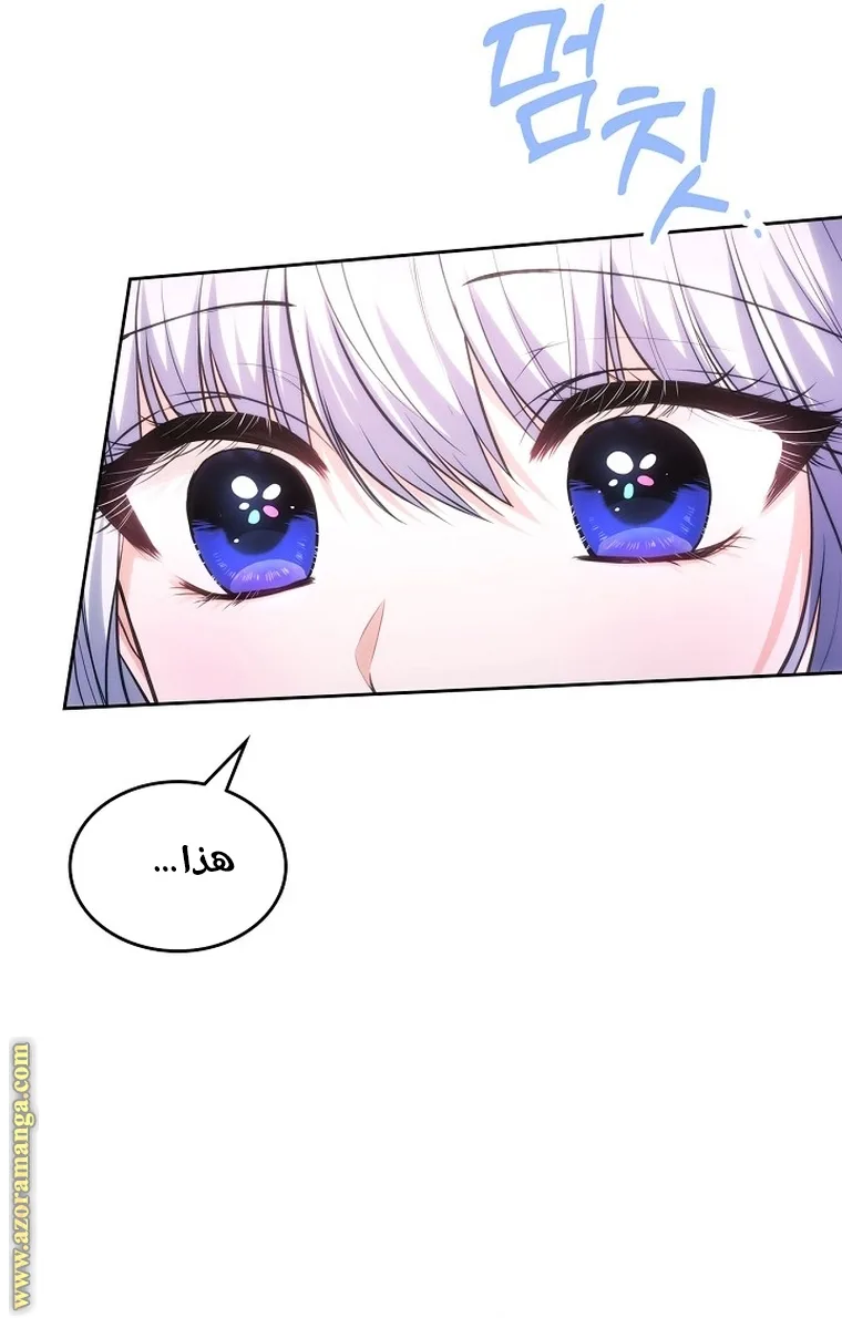 الصفحة 31