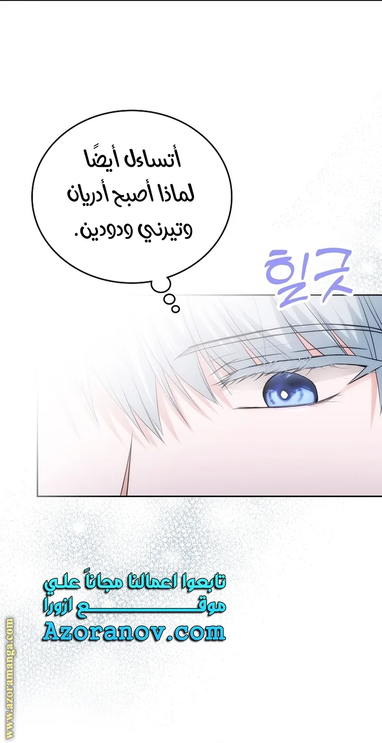 الصفحة 43