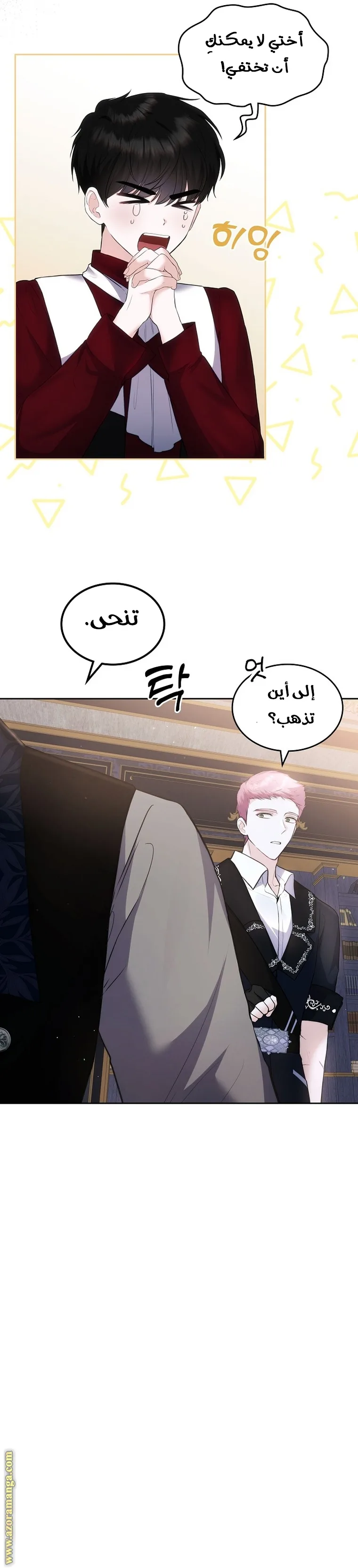 الصفحة 13