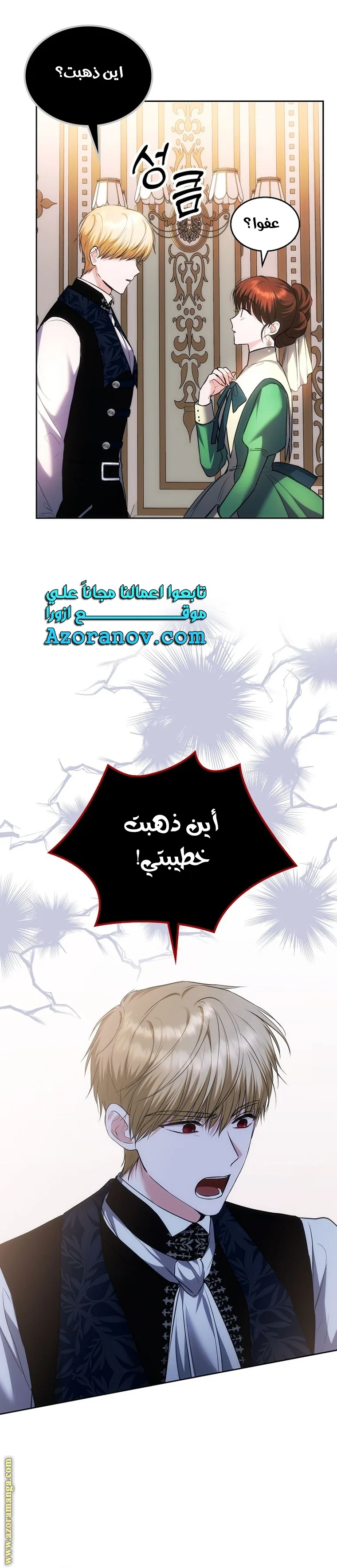 الصفحة 17