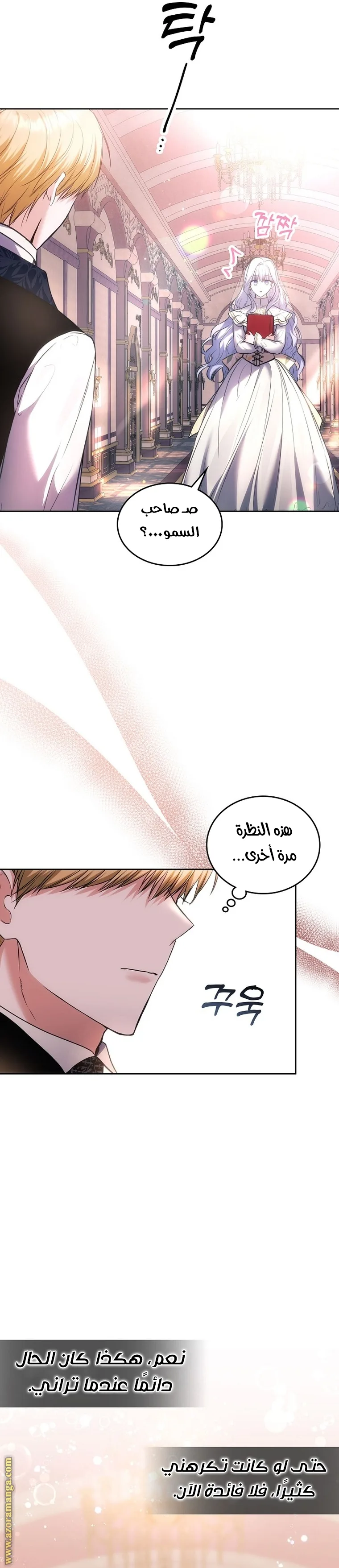 الصفحة 19