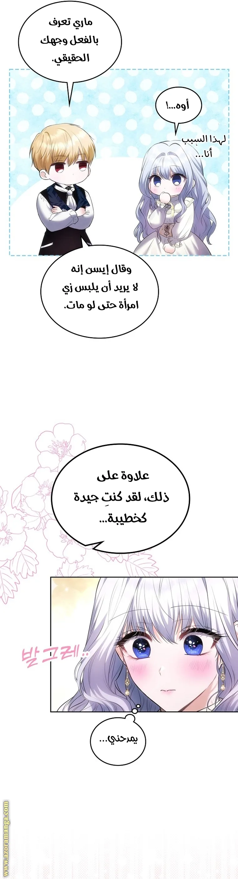 الصفحة 25