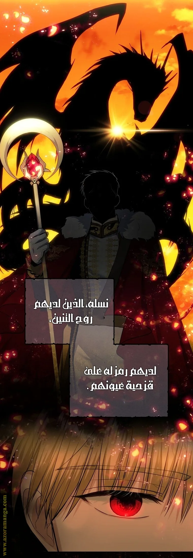 الصفحة 17