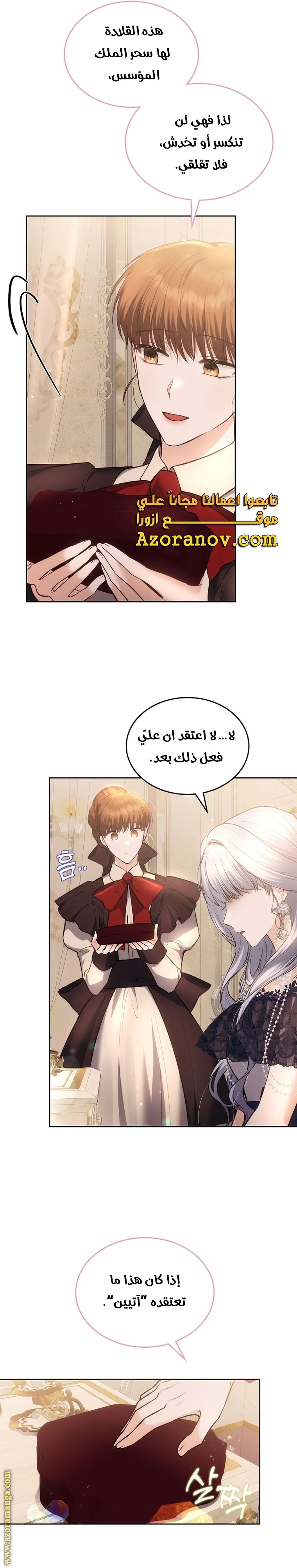 الصفحة 29