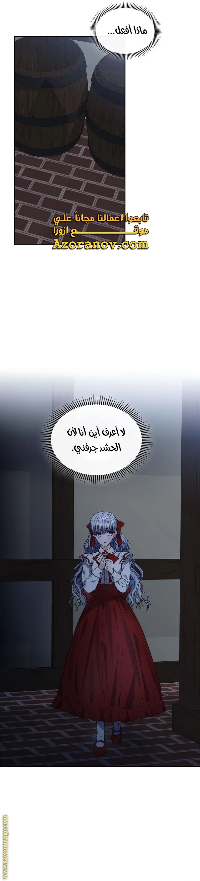 الصفحة 17