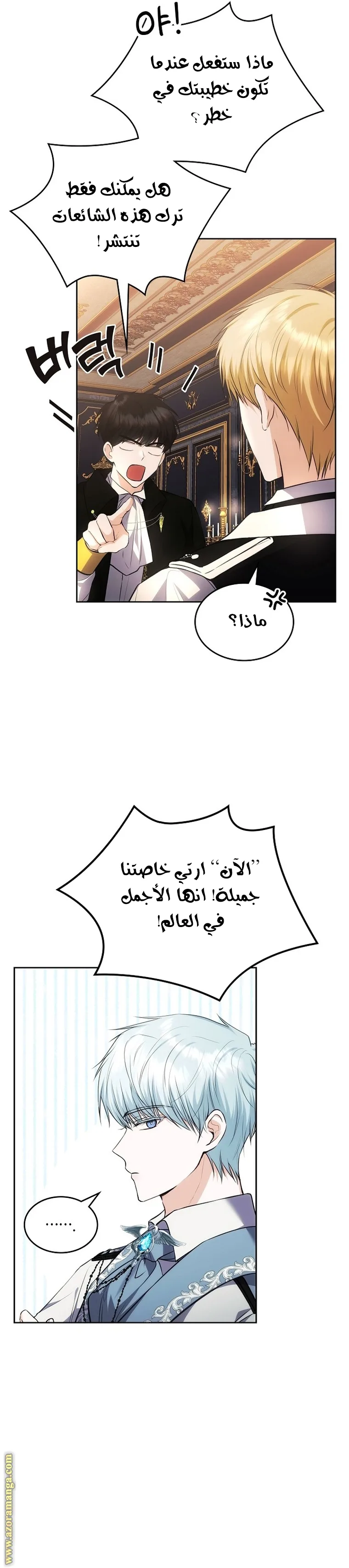 الصفحة 19