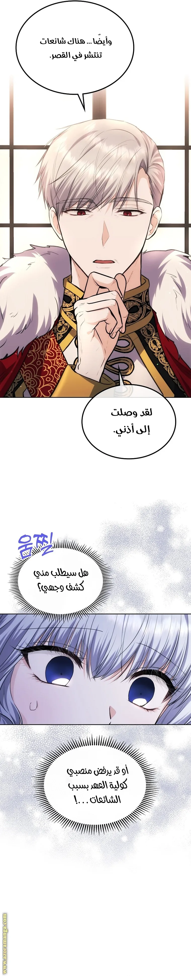 الصفحة 16