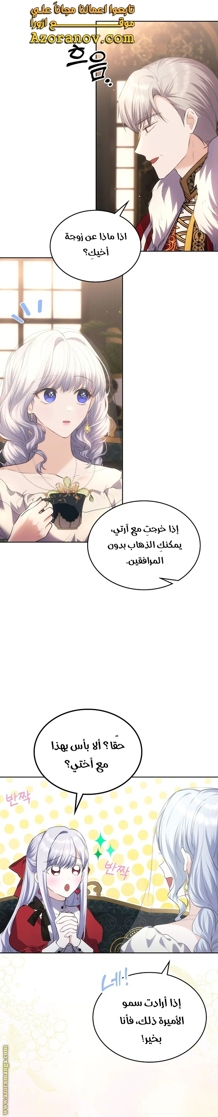 الصفحة 26