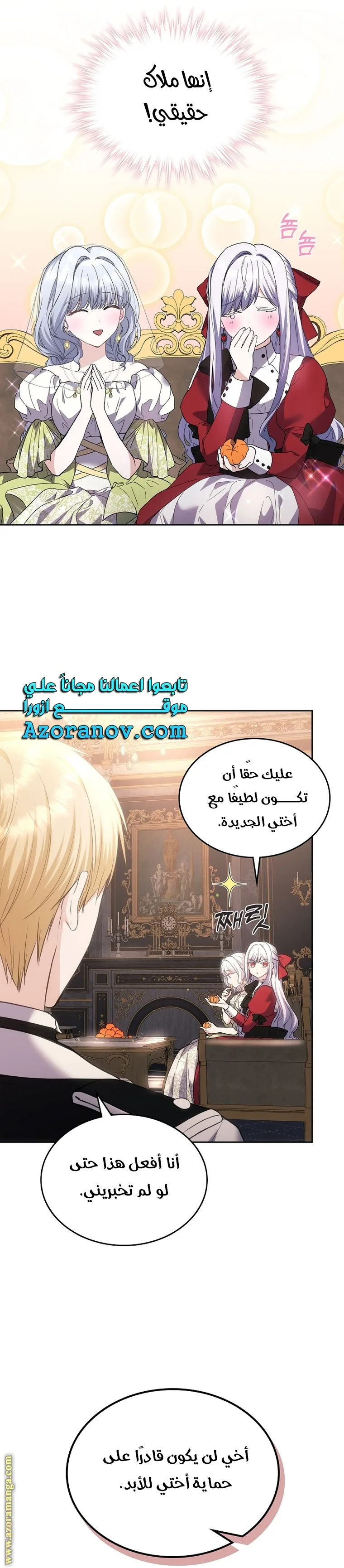 الصفحة 11