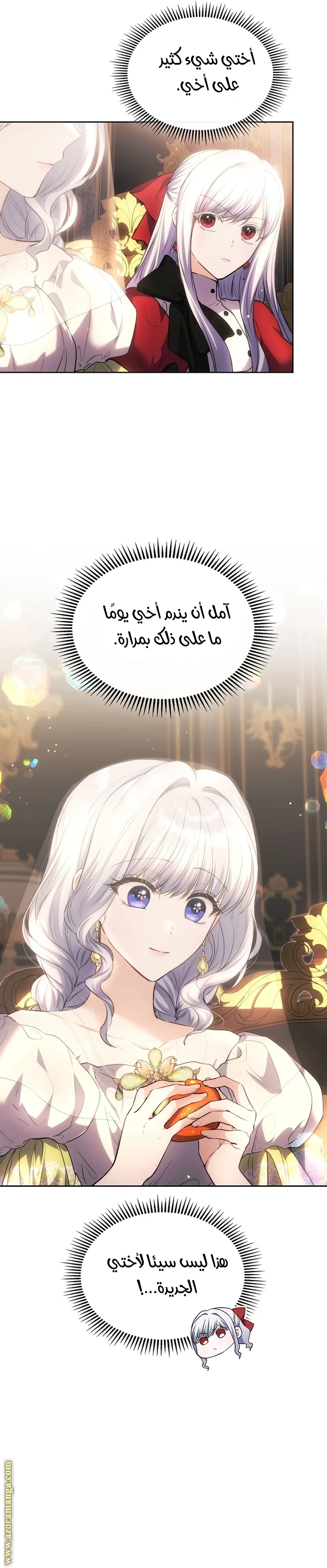 الصفحة 14