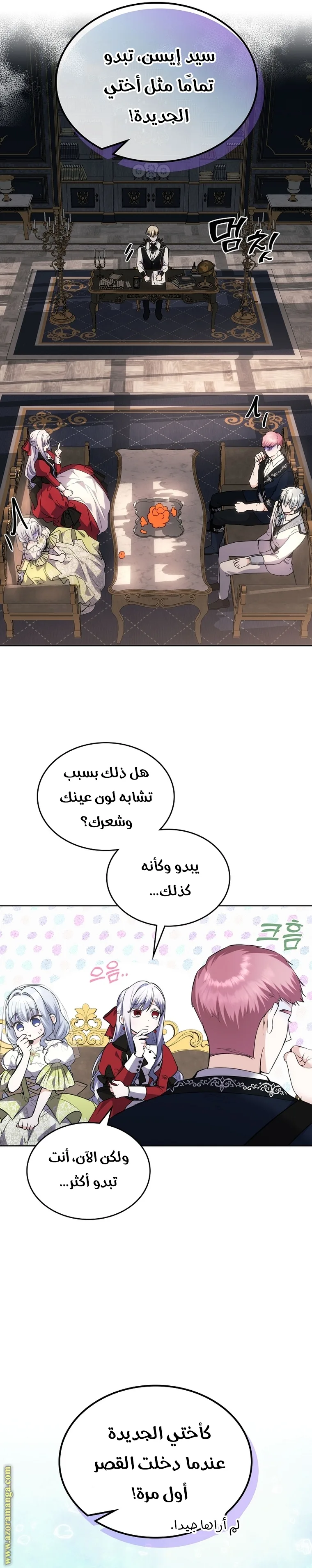 الصفحة 17