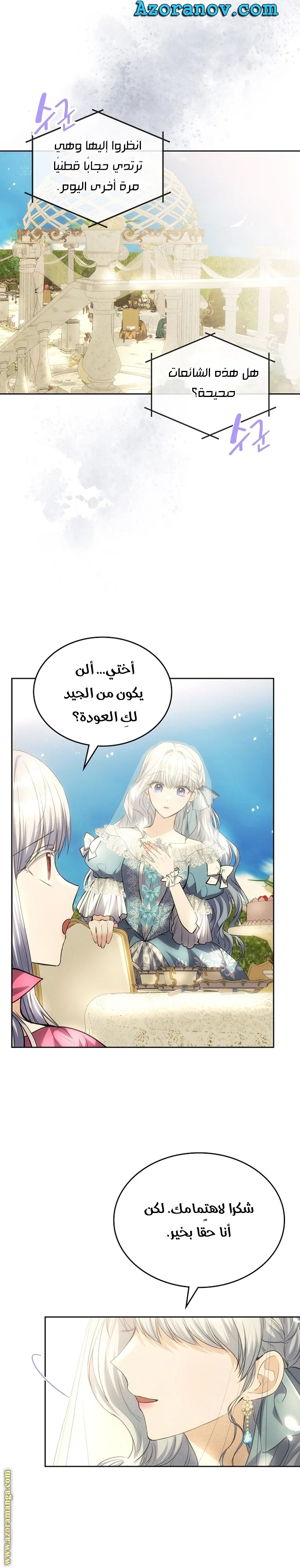 الصفحة 29