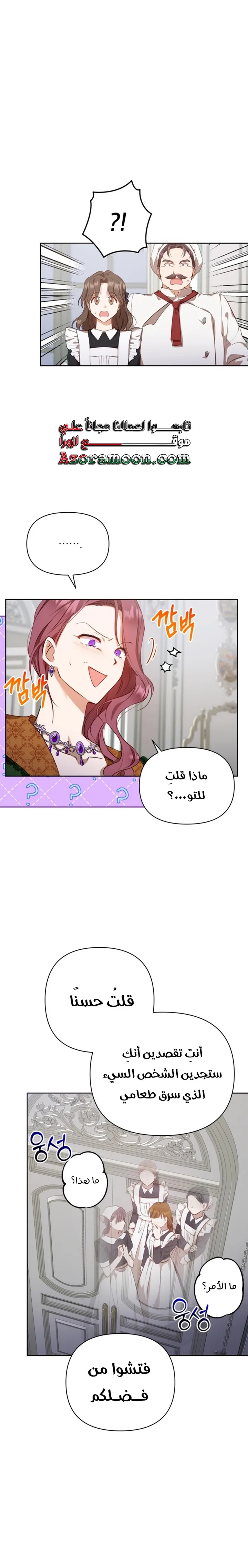 الصفحة 17