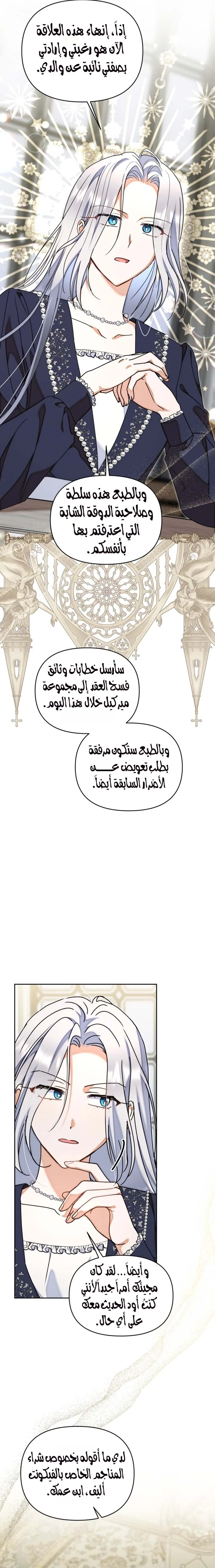 الصفحة 17