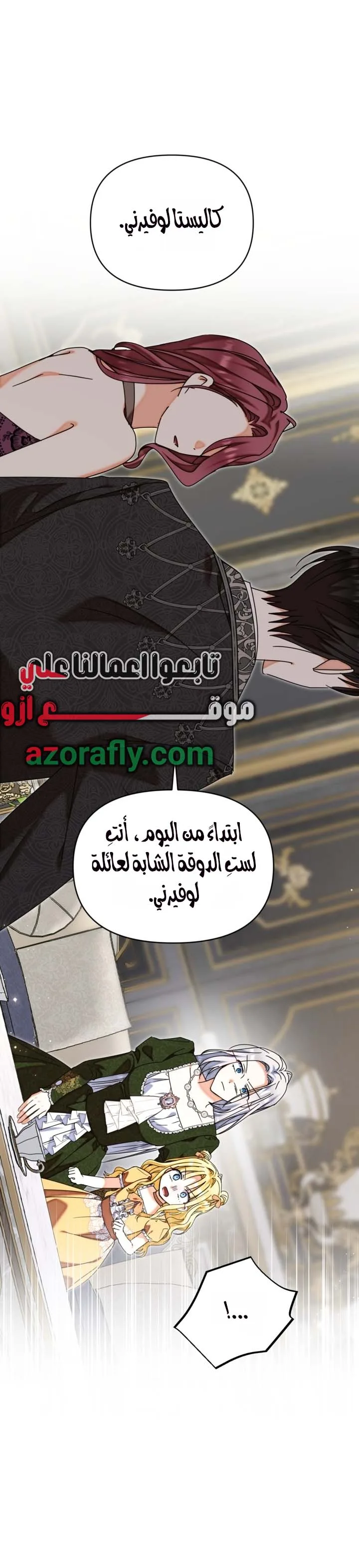 الصفحة 17