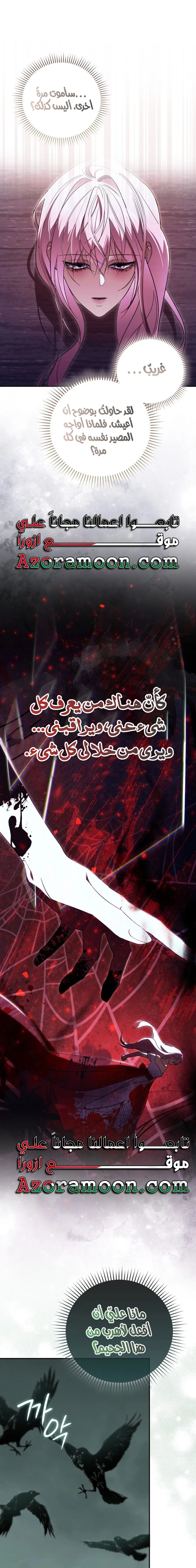 الصفحة 24