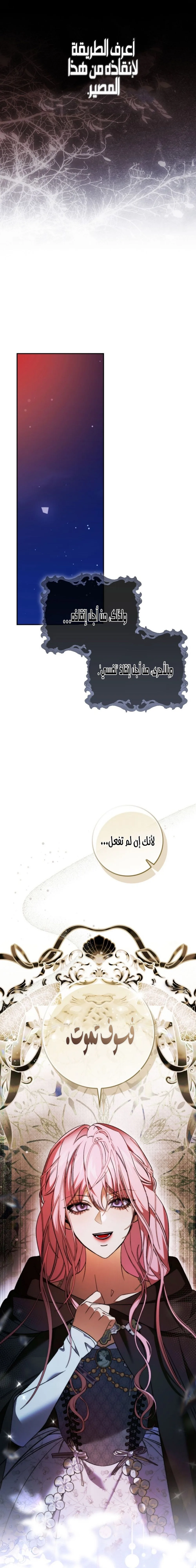 الصفحة 26