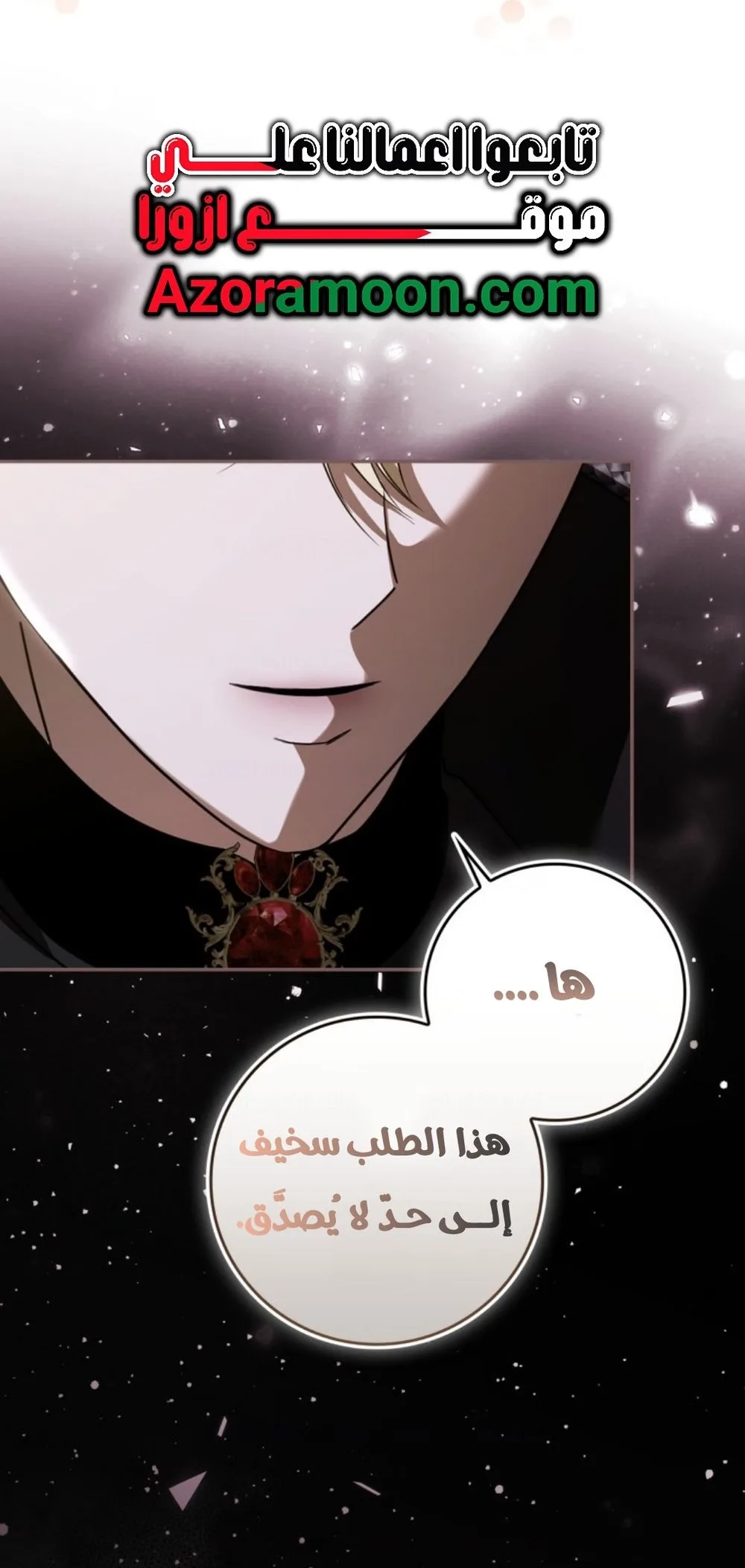 الصفحة 17
