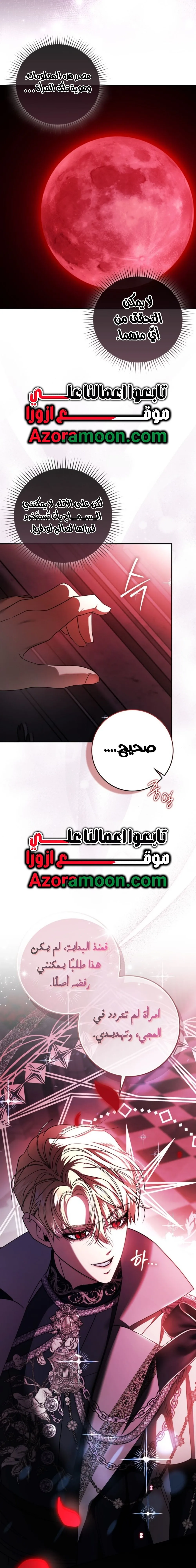 الصفحة 27