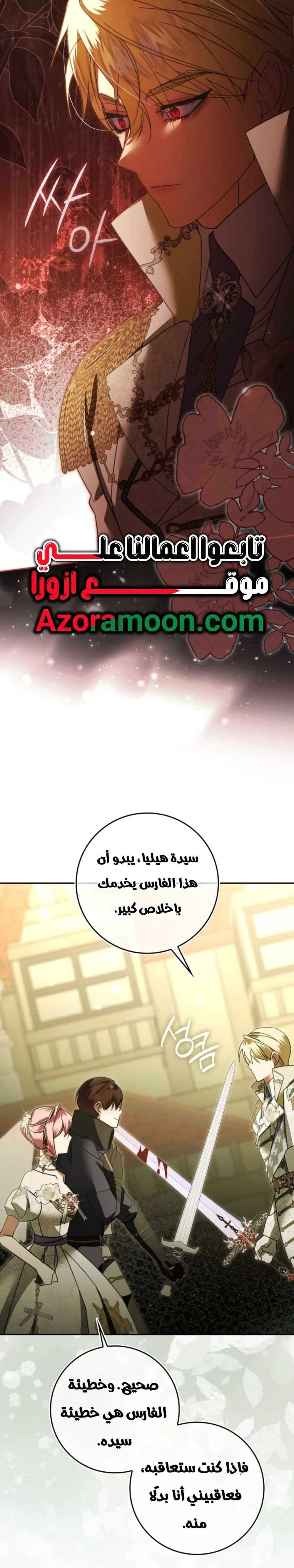 الصفحة 17