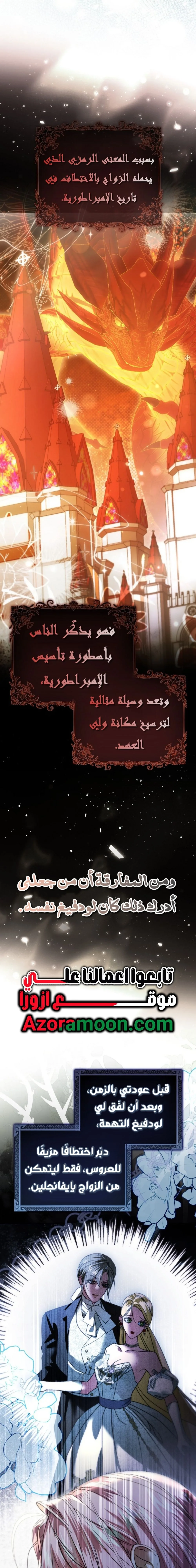 الصفحة 13