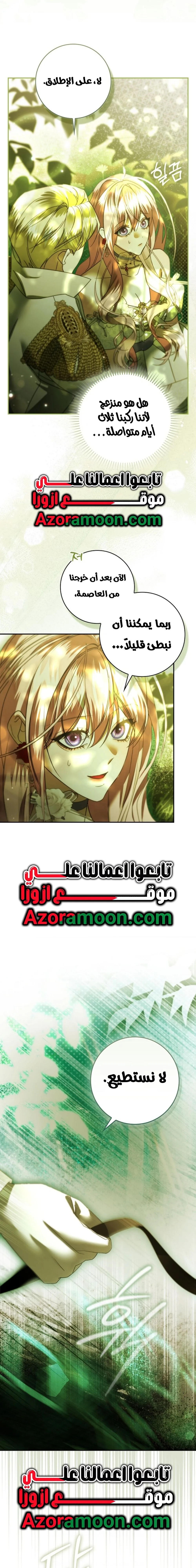 الصفحة 17